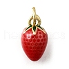 Brass with Enamel Charms KK-Q066-01E-G-1