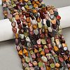 Natural Alashan Agate Beads Strands G-Q060-E19-02-1