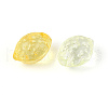 Transparent Acrylic Charms OACR-N146-03-2