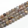 Natural Black Sunstone Beads Strands G-R446-8mm-33-1