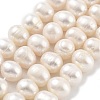 Natural Cultured Freshwater Pearl Beads Strands PEAR-C003-22A-2