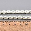 Baking Painted Pearlized Glass Pearl Bead Strands HY-T002-01A-02-4