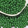 Opaque Colours Glass Seed Beads SEED-C001-02B-10-1