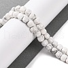 Natural Howlite Beads Strands G-G001-B02-06-2