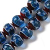 Handmade Lampwork Beads Strands LAMP-P062-02C-1
