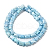 Electroplate Glass Beads Strands GLAA-D013-06B-2
