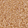 MIYUKI Delica Beads Small SEED-X0054-DBS0853-3