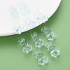 Transparent Acrylic Beads MACR-S373-81-B07-7