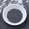 MIYUKI Delica Beads SEED-J020-DB0132-2