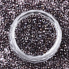 Glass Seed Beads X-SEED-S042-07A-01-2