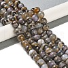 Natural Agate Beads Strands G-M437-B01-01M-1