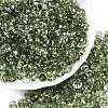 Spray Painted Transparent Glass Seed Beads SEED-T007-05B-3