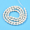 Natural Cultured Freshwater Pearl Beads Strands PEAR-N012-03S-3
