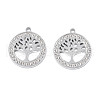 304 Stainless Steel Pendants STAS-N095-157-1