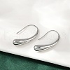 304 Stainless Steel Teardrop Dangle Earrings EJEW-S272-06P-2