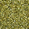 Glass Bugle Beads SEED-S032-09A-643-3