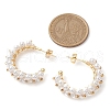 Shell Pearl C-Shaped Stud Earrings EJEW-TA00593-3