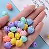 Opaque Acrylic Beads SACR-S306-03A-5