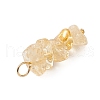 10Pcs 5 Colors 12 Constellation Natural Smoky Quartz & Aquamarine & Citrine & South Red Agate & White Moonstone Pendants PALLOY-JF02839-05-5