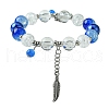 10mm Round Crackle Baking Painted Glass & Transparent  Glass Beaded Stretch Bracelets BJEW-JB10745-1