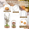  10Pcs 2 Styles Glass Dome Cloche Cover DJEW-NB0001-38-4