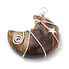 Natural Tiger Eye Copper Wire Wrapped Pendants PALLOY-JF02686-01-3
