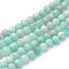 Natural Amazonite Beads Strands G-T055-10mm-17-1