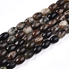 Natural Biotite Beads Strands G-N346-02A-02-2