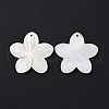 Natural Freshwater Shell Pendants SSHEL-C011-04-3