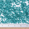 MIYUKI Round Rocailles Beads SEED-G007-RR2405-4