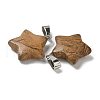 Natural Picture Jasper Pendants G-B127-12P-06-2