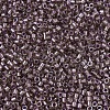 MIYUKI Delica Beads X-SEED-J020-DB0912-3