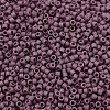 MIYUKI Delica Beads X-SEED-J020-DB2295-3