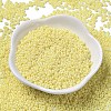Baking Paint Glass Seed Beads SEED-P006-03A-15-2