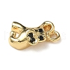 Brass Micro Pave Cubic Zirconia Charms KK-I276-42G-2