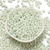 Baking Paint Pearlized Glass Seed Beads SEED-C001-04A-01-2