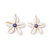 Natural Cowrie Shell with Handmade Blue Evil Eye Lampwork Pendants PALLOY-TA00274-1