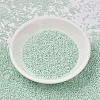 MIYUKI Delica Beads SEED-JP0008-DB1506-3
