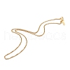 304 Stainless Steel Rolo Chain Necklaces NJEW-JN03374-1