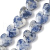 Natural Blue Spot Jasper Beads Strands G-D316-B10-2