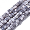 Natural Trochus Shell Beads Strands X-SHEL-S278-027J-1