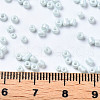 Glass Seed Beads SEED-S060-A-F408-5