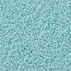 12/0 Grade A Round Glass Seed Beads X-SEED-N001-B-143-2