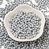 Baking Painted Glass Seed Beads SEED-C004-01P-2