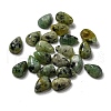 Natural African Turquoise(Jasper) Cabochons G-Q173-02A-02-1