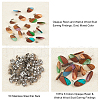 SUPERFINDINGS Transparent Resin & Walnut Wood Stud Earring Findings MAK-FH0001-13-2