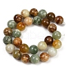 Natural Xiuyan Jade Beads Strands G-F792-C02-03-3