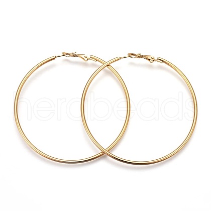 201 Stainless Steel Hoop Earrings EJEW-F188-24G-D-1