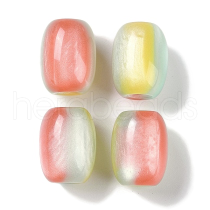 Triple Color Resin European Beads RESI-F055-13B-1