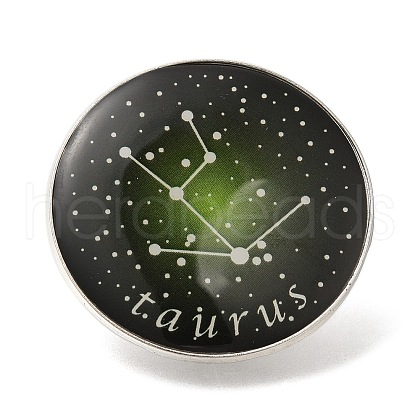 Twelve Constellation Creative Alloy Badges Constellation Brooches JEWB-S033-01P-B-1